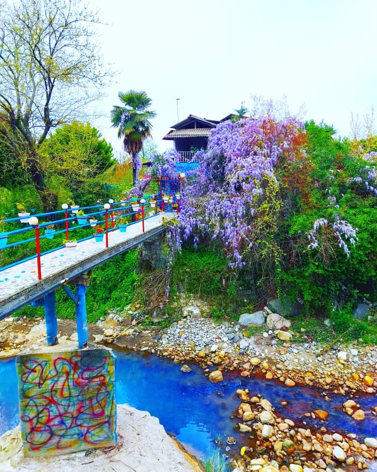 اجاره ویلا جنگلی در رمک رامسر - واحد 1