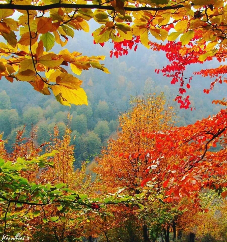 اجاره اقامتگاه بومگردی سنتی در آزادشهر شاهرود - اتاق 11