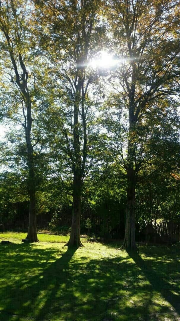 اجاره خانه مبله ارزان قیمت درماسال