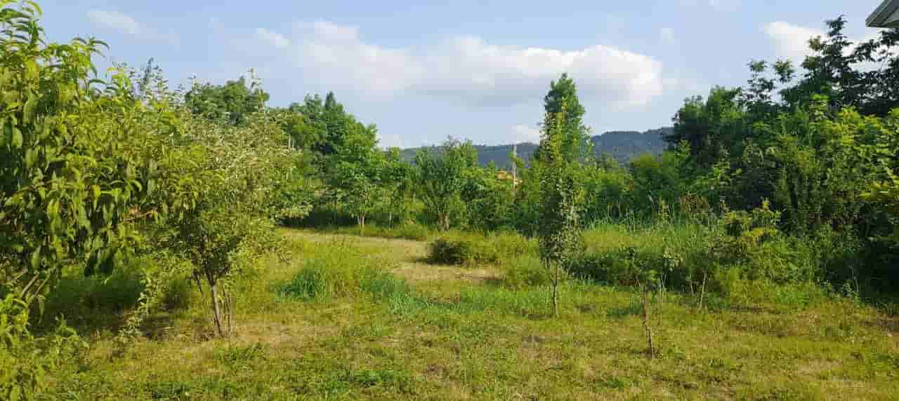 عکس اجاره ویلا دوبلکس در مسیر ییلاقات ماسال
