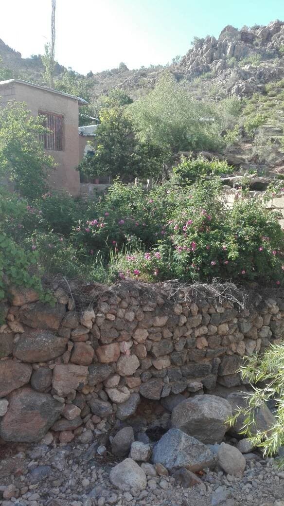 اقامتگاه بومگردی روستای لایزنگان علیا داراب