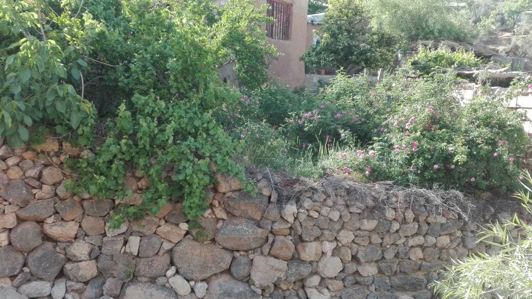 اقامتگاه بومگردی روستای لایزنگان علیا داراب