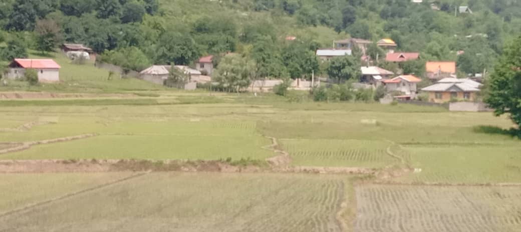 اجاره سوئیت مبله با چشم انداز جنگلی درماسال