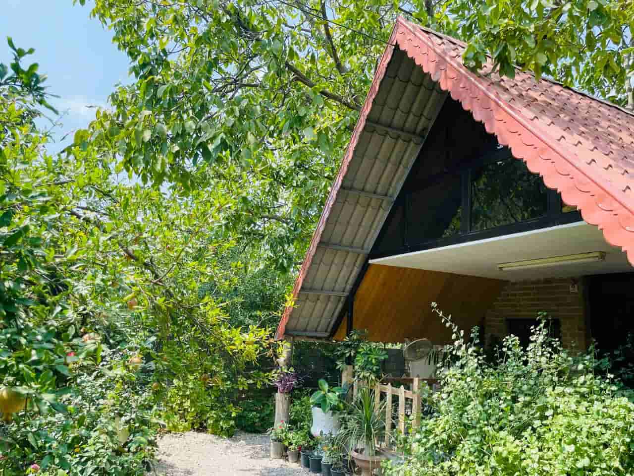 عکس اجاره کلبه سوئیسی در رستم کلا