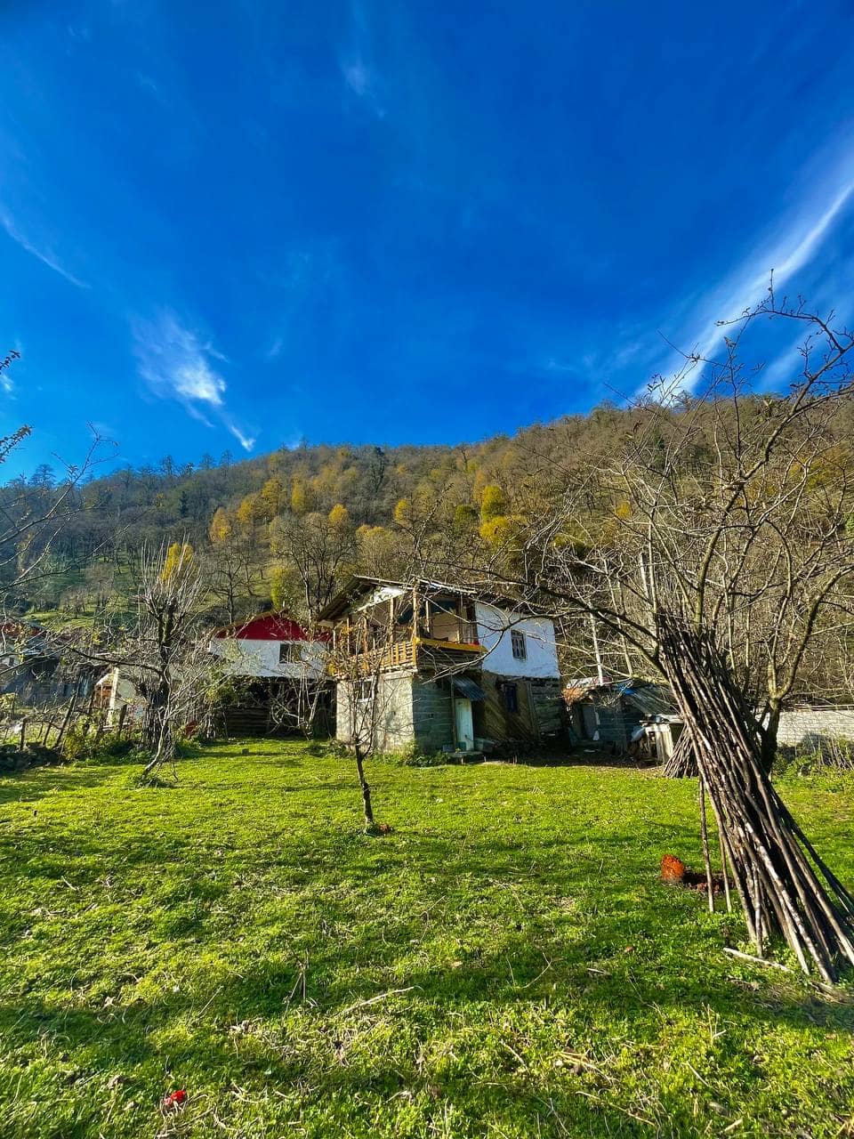 اجاره کلبه چوبی جنگلی روستا غوزک رودبار -شیرگاه