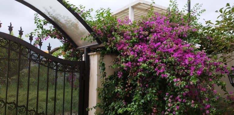 اجاره منزل مبله در طالقانی رامسر