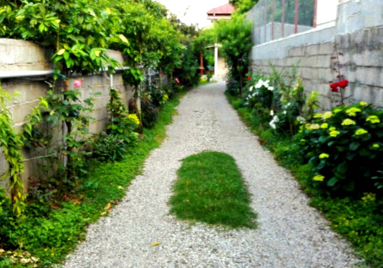 اجاره منزل ویلایی در توبن رامسر - ویو به جنگل