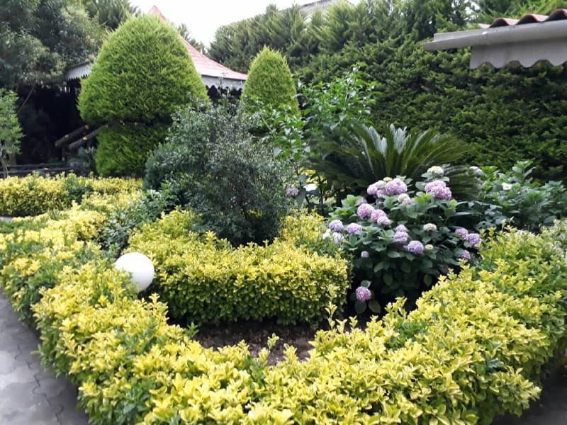 اجاره ویلا شیک و تمیز در بلوار معلم رامسر