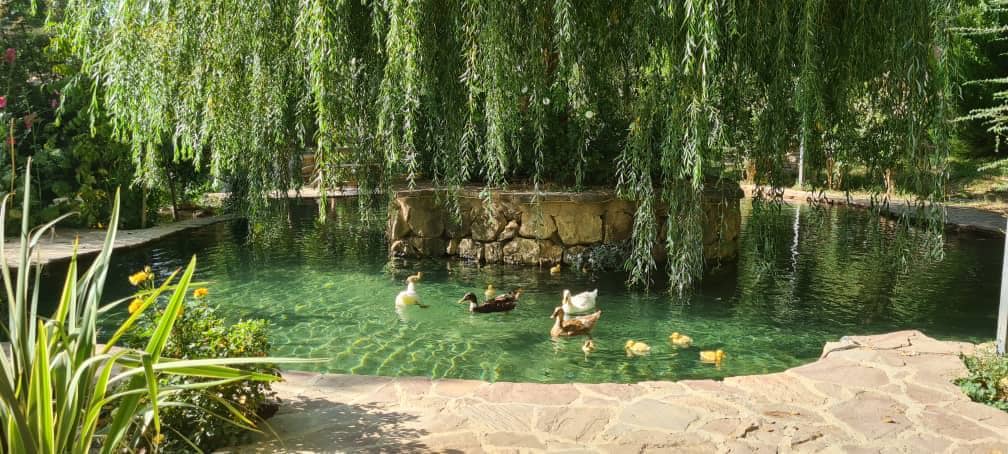 اجاره کلبه چوبی در سربست سپیدان - آساره