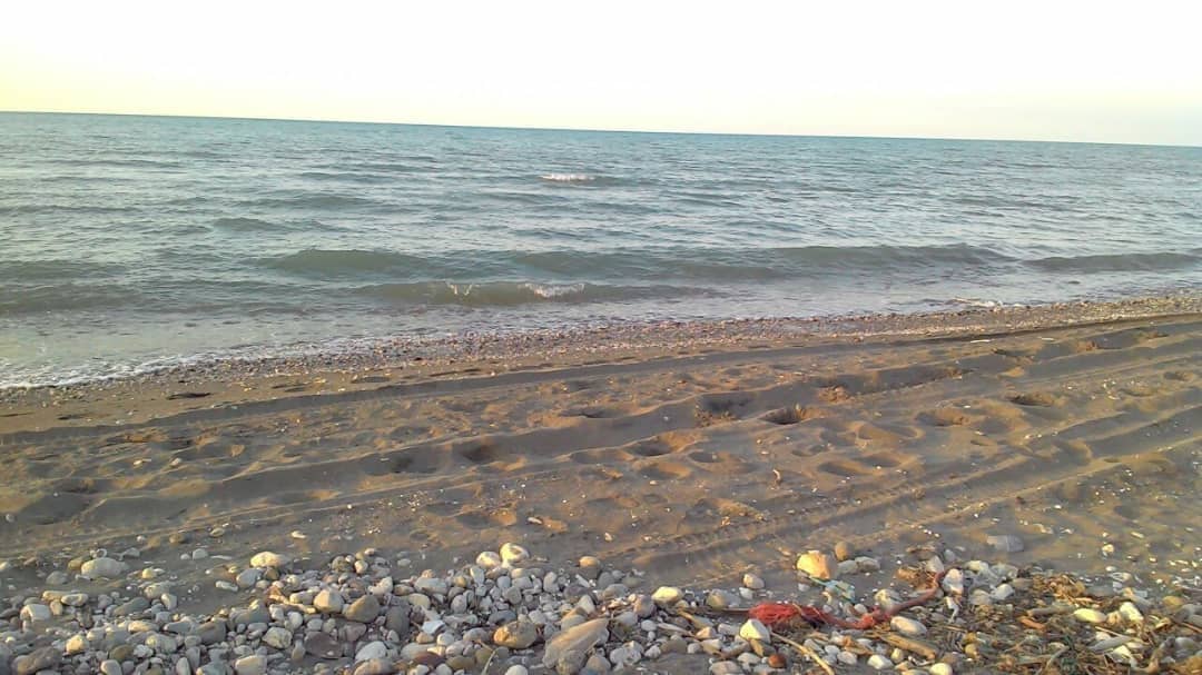 اجاره باغ و ویلا در نیلی کنار رامسر