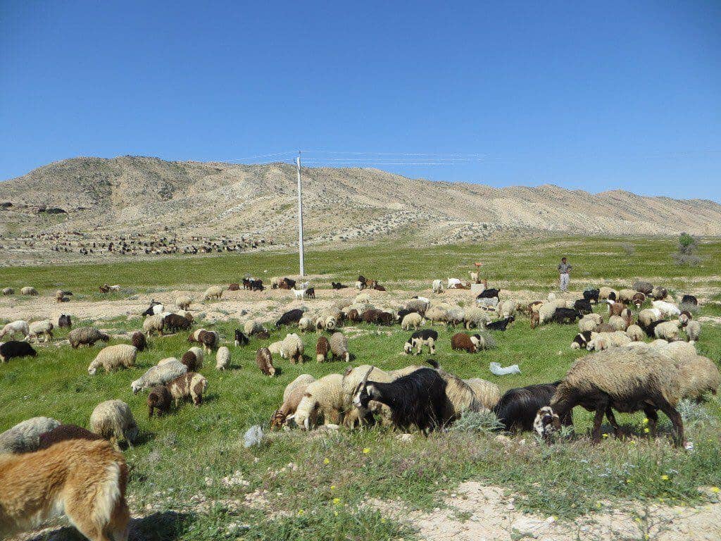 اجاره اتاق بوم گردی فراشبند-امیری 4