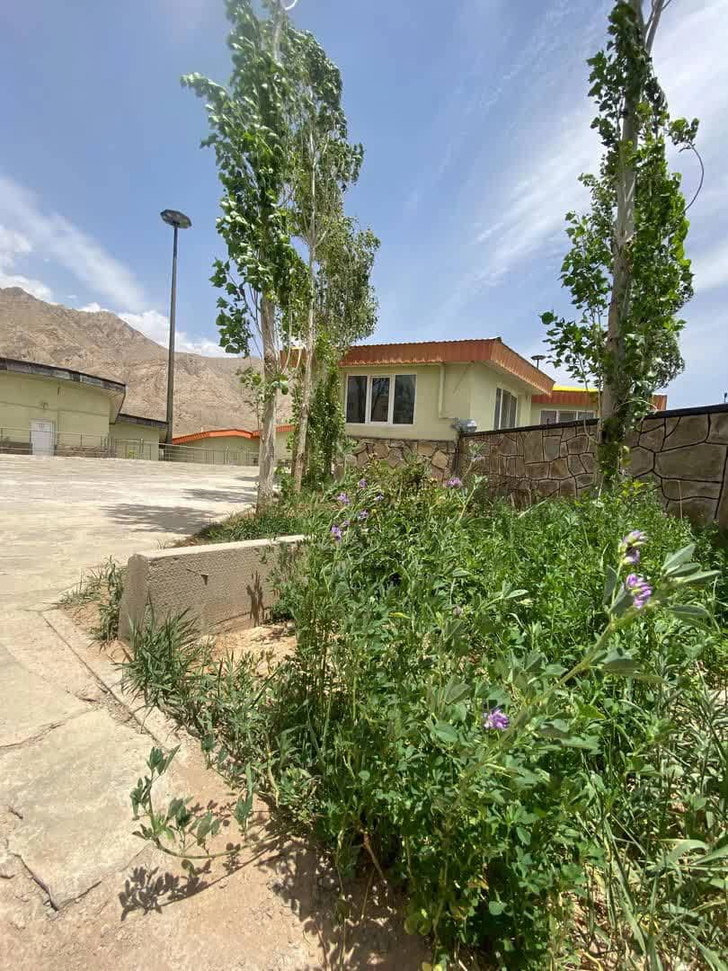 اجاره سوئیت کوهستانی در شهمیرزاد - 109