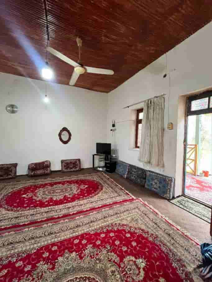 عکس بومگردی جنگلی در روستای میرمحله ماسال - جاده ییلاق