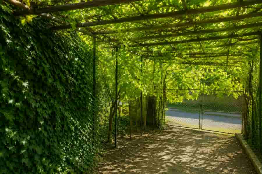 عکس سوئیت ویلایی در سیرچ کرمان - کنار رودخانه