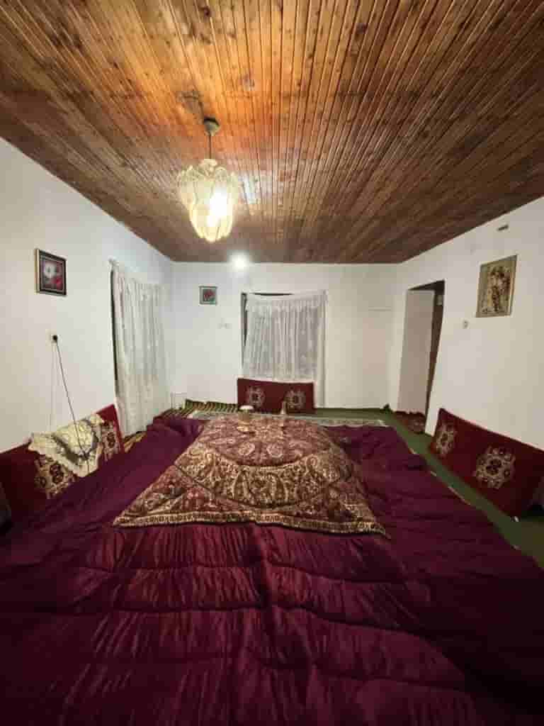 عکس بومگردی جنگلی در روستای میرمحله ماسال - جاده ییلاق