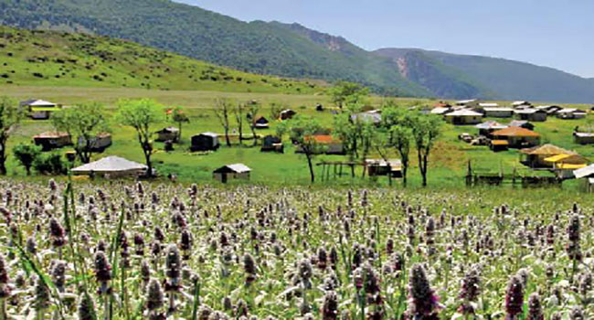 دهکده-جهان-نما