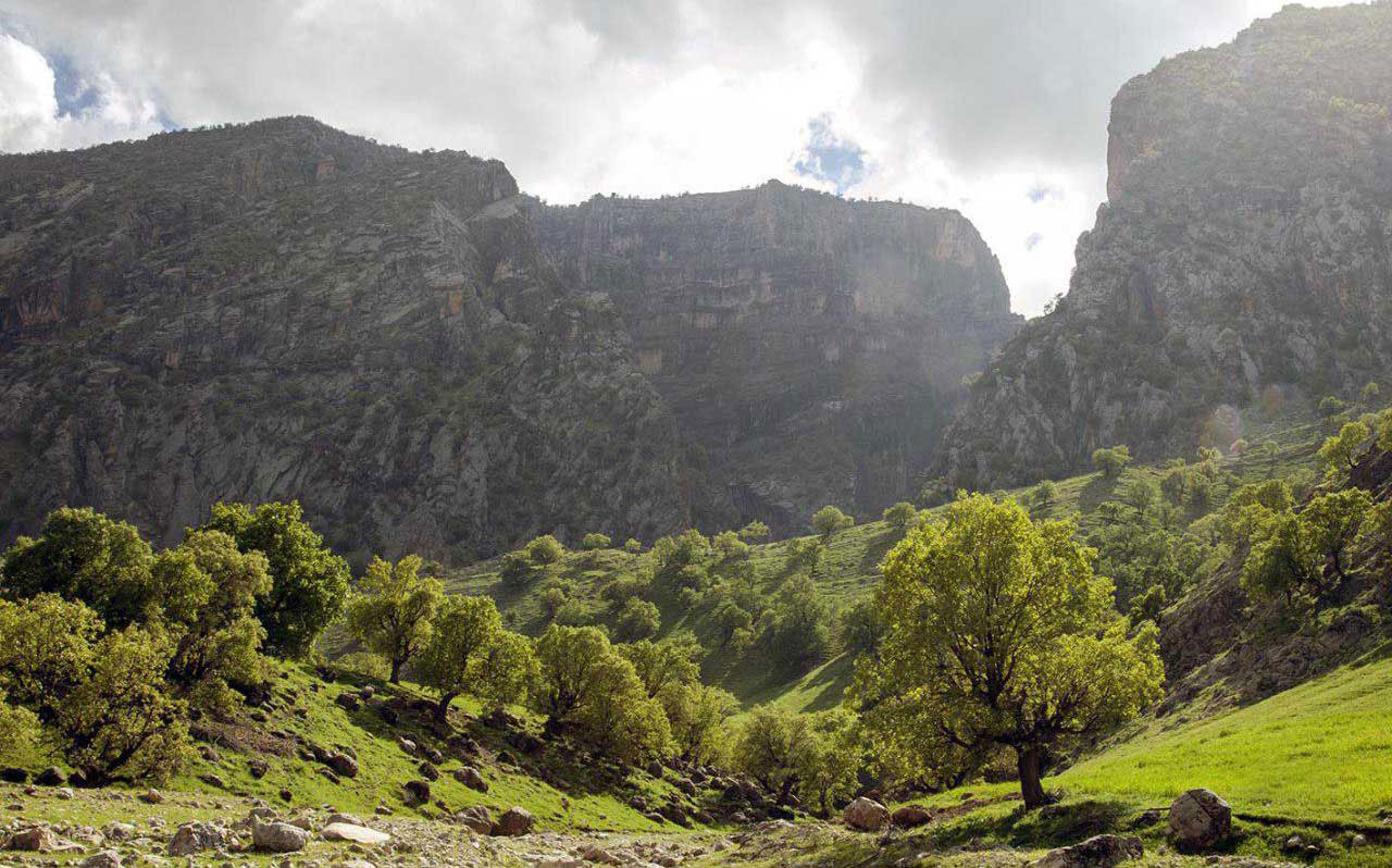 تصاویری از کبیر کوه