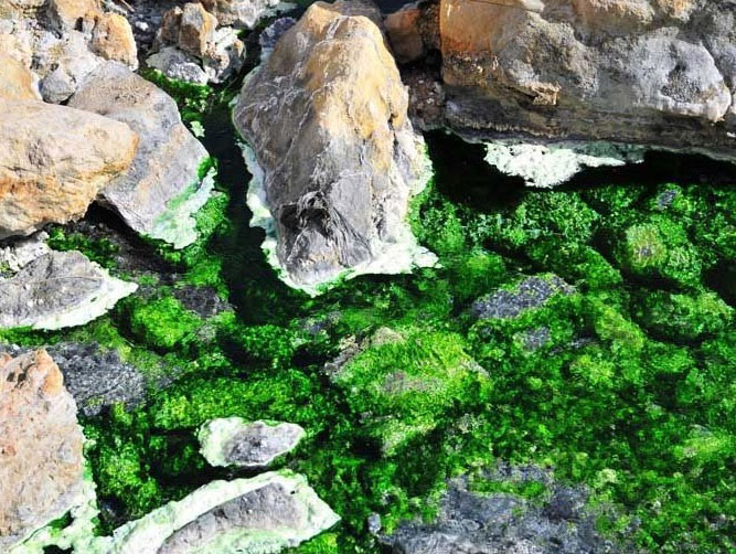چشمه آبگرم سیاهکش بندر خمیر در بندرعباس 2 آبگرم سیاهکش (2)