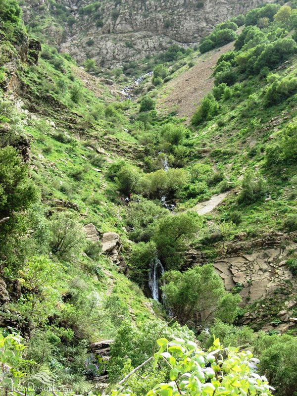 شیلماو
