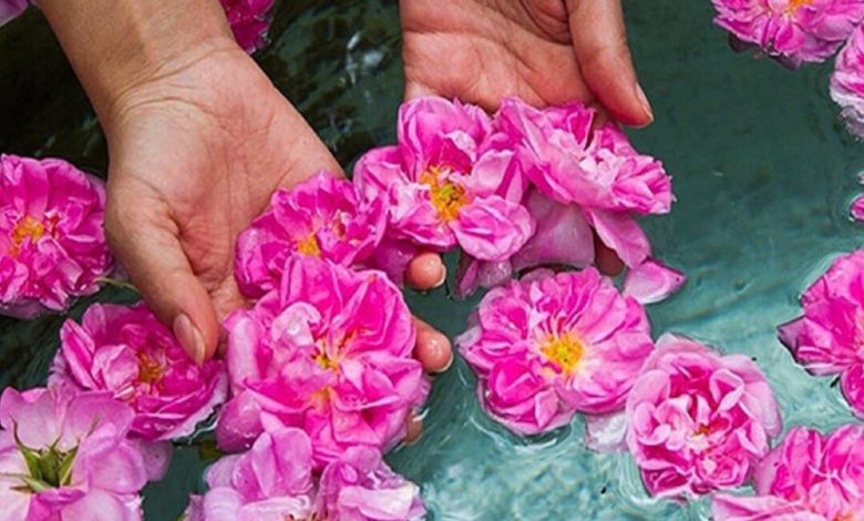 مراسم گلابگیری