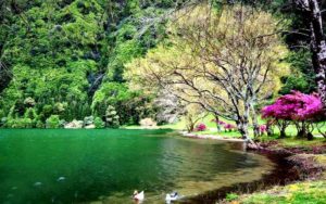 سفر به مازندران در تابستان 20 دریاچه شور مست سواد کوه،