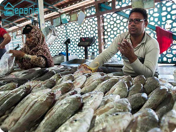 راهنمای سفر به بندرعباس، بزرگترین شهر جنوبی ایران