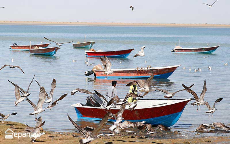 خلیج گواتر چابهار پرندگان و قایق