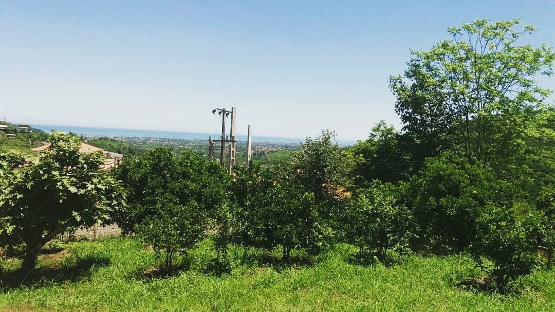 Forest ویلا باغ دربستی در سادات شهر مازندران